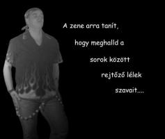 SzevaszCsipu