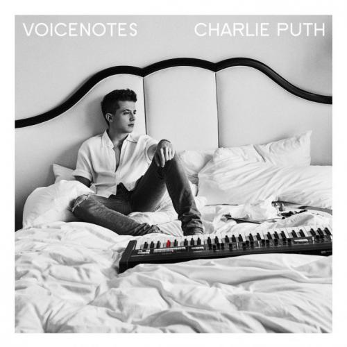 VoiceNotes