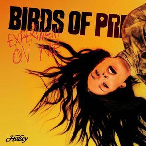 Birds of Prey