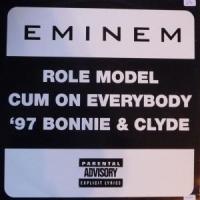 The Slim Shady LP