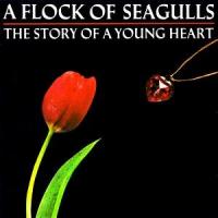 A Flock of Seagulls - Never Again (The Dancer)
