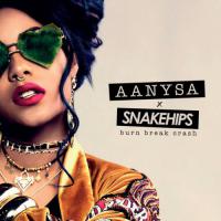 Aanysa x Snakehips - Burn Break Crash