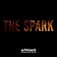 Afrojack ft. Spree Wilson - The Spark