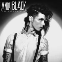 Andy Black - Paint It Black