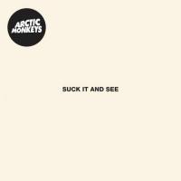 Arctic Monkeys - She's Thunderstorms