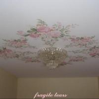 Fragile Tears - Single
