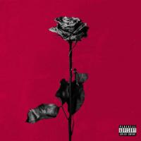 Deadroses