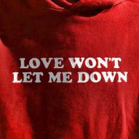 Love Won't Let Me Down