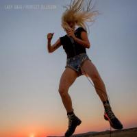 Perfect Illusion (single)