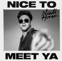 Nice to Meet Ya - Single