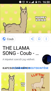 The llama song