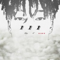111