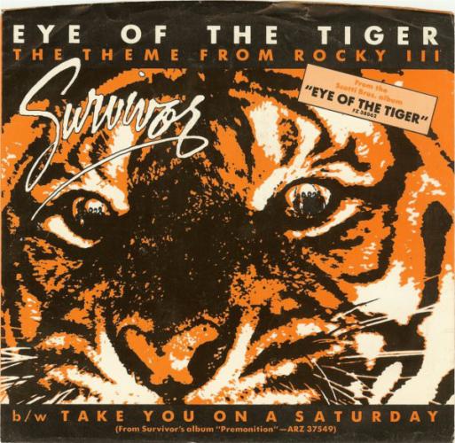 Eye of the Tiger